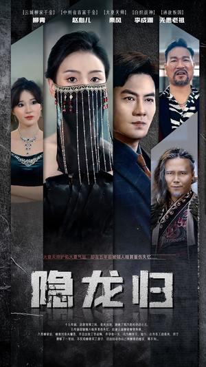 隐龙归(80集) 隐龙归(80集)无需会员免费看