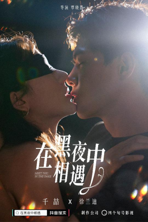 在黑夜中相遇(32集) 在黑夜中相遇(32集)短剧在哪个平台