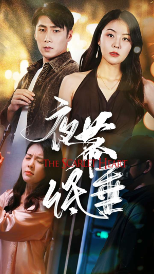 夜幕低垂(37集) 夜幕低垂(37集)一共多少集