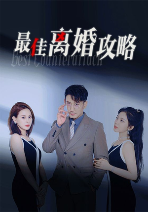 最佳离婚攻略(31集) 最佳离婚攻略(31集)短剧全集免费看
