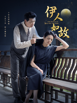伊人如故(95集) 伊人如故(95集)好看到停不下来