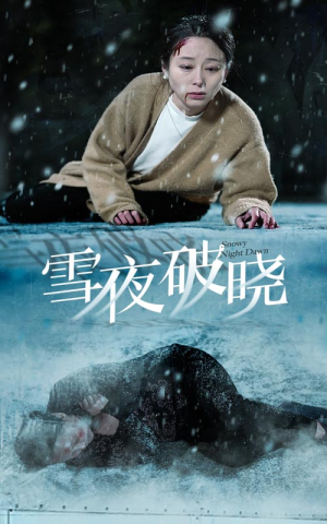 雪夜破晓(36集) 雪夜破晓(36集)热门短剧大全