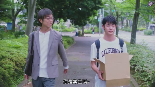 向阳之处必有声(12集) 向阳之处必有声(12集)恋爱短剧分享