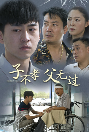 子不孝父无过(30集) 子不孝父无过(30集)大结局一气呵成