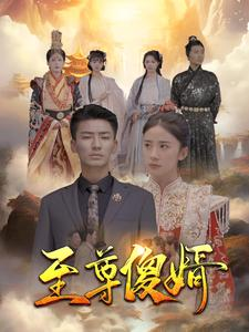 至尊傻婿(82集) 至尊傻婿(82集)热门短剧免费看