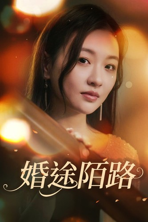 婚途陌路(15集) 婚途陌路(15集)免费在线看全集