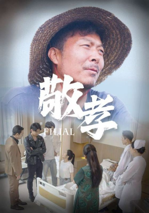 敬孝(61集) 敬孝(61集)最新热播短剧