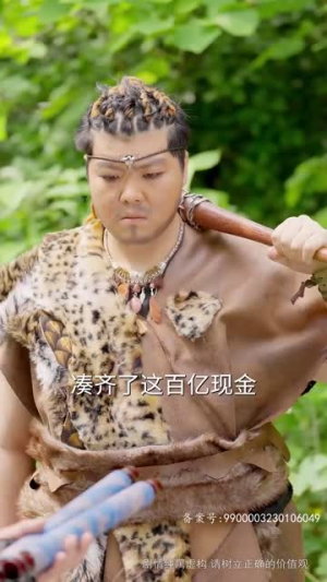 无敌是多么寂寞(75集) 无敌是多么寂寞(75集)大结局完美收官