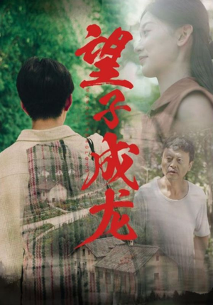 望子成龙(74集) 望子成龙(74集)第二季