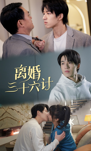 离婚三十六计(96集) 离婚三十六计(96集)全集免费观看