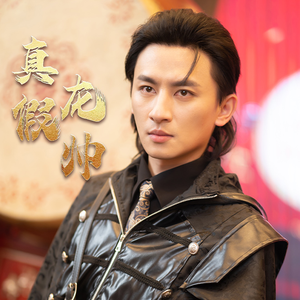 真假龙帅(81集) 真假龙帅(81集)短剧在线更新