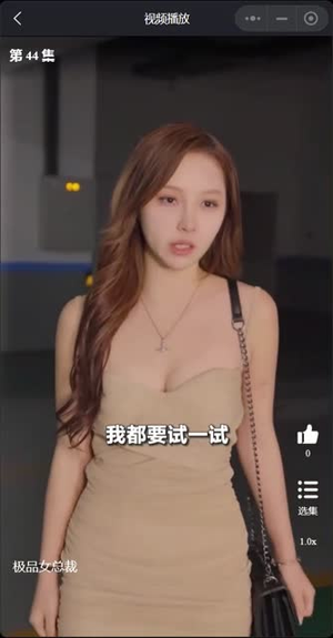 我的富豪美女总裁（我的极品女总裁）免费短剧完整版