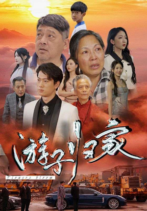 游子归家(88集) 游子归家(88集)全集完整版