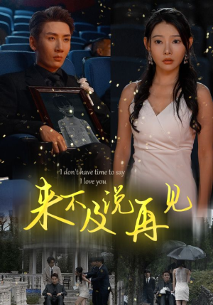 来不及说再见(30集) 来不及说再见(30集)免费热门短剧