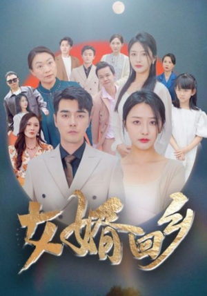 女婿回乡(120集) 女婿回乡(120集)短剧追到爽