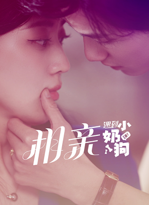 相亲遇到小奶狗(80集) 相亲遇到小奶狗(80集)好看上头的短剧