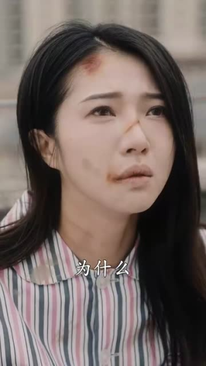 二爷,你缺老婆不(92集) 二爷,你缺老婆不(92集)短剧免费观看