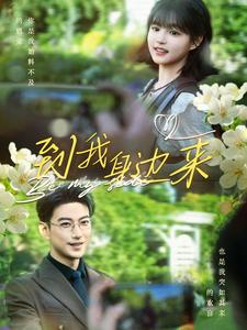 到我身边来(100集) 到我身边来(100集)最新热剧免费看