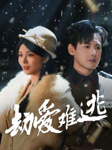24.劫爱难逃(30集) 24.劫爱难逃(30集)精彩短剧下载