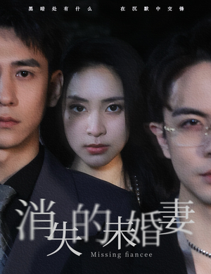 消失的未婚妻(82集) 消失的未婚妻(82集)免费短剧就是爽