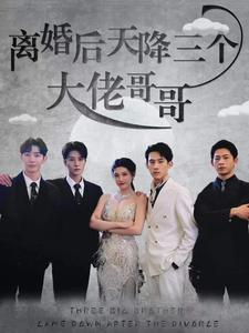 离婚后天降三个大佬哥哥(83集) 离婚后天降三个大佬哥哥(83集)西瓜短剧免费看