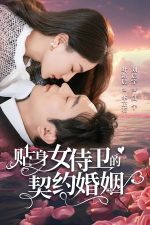 贴身女侍卫的契约婚姻(91集) 贴身女侍卫的契约婚姻(91集)短剧分享剧集