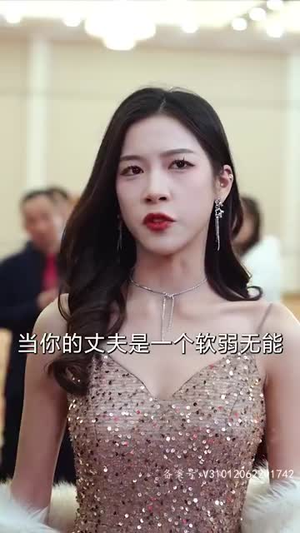 踏雪(96集) 踏雪(96集)短剧全集免费看