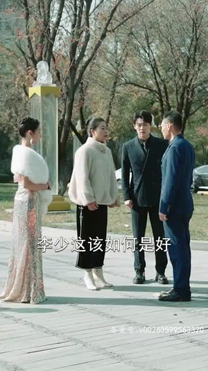 龙啸(87集) 龙啸(87集)免费短剧全集看