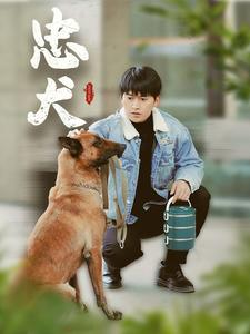 忠犬(34集) 忠犬(34集)短剧免费观看
