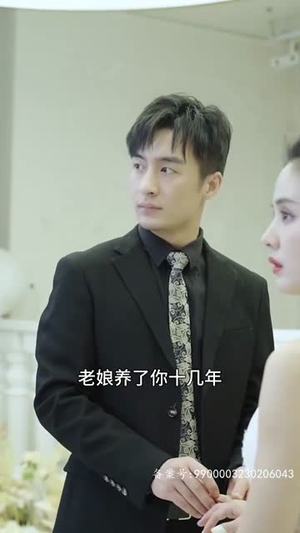 霍少的替身娇妻(90集) 霍少的替身娇妻(90集)高清无码免费看