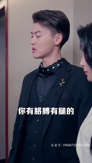 腾龙四海（83集）全集一网打尽