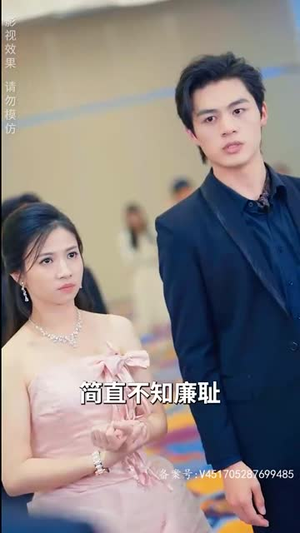 一代圣手(100集) 一代圣手(100集)短剧在线观看