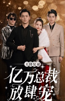 天降舅舅亿万总裁放肆宠(71集) 天降舅舅亿万总裁放肆宠(71集)80到100集