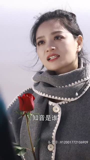 燃烧的玫瑰(69集) 燃烧的玫瑰(69集)热门了短剧