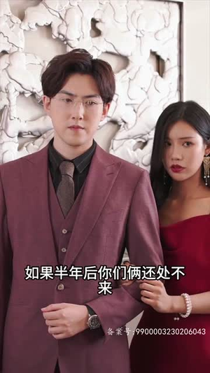 历总的私密小娇妻(80集) 历总的私密小娇妻(80集)短剧排行榜
