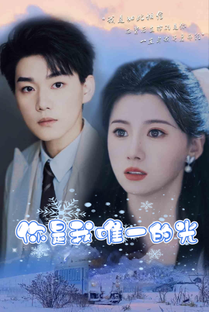 你是我唯一的光(95集) 你是我唯一的光(95集)免费短剧资源