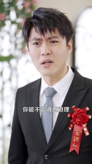 彩礼谈崩后继承万亿家产(100集) 彩礼谈崩后继承万亿家产(100集)看到大结局