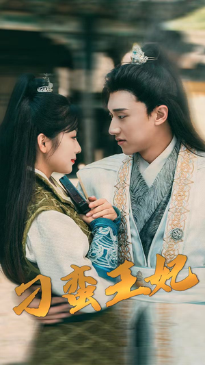 刁蛮王妃（93集）80到100集