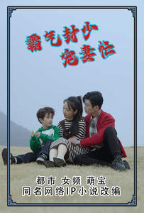 霸气封少宠妻忙(80集) 霸气封少宠妻忙(80集)短剧完整版免费