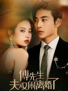 傅先生夫人又闹离婚了(80集) 傅先生夫人又闹离婚了(80集)全集免费观看