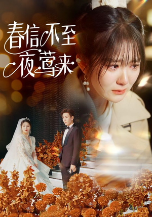 春信不至夜莺来(50集) 春信不至夜莺来(50集)独家内容免费看