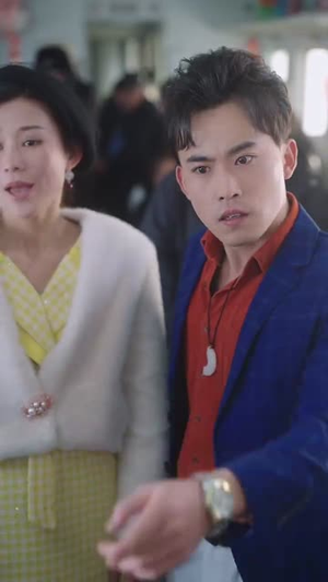春运归途团圆年(40集) 春运归途团圆年(40集)第二季