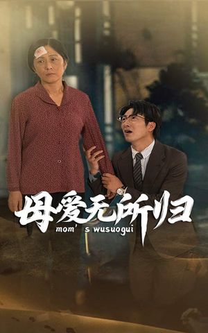 母爱无所归(33集) 母爱无所归(33集)免费短剧完整版