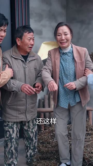 卖不掉的年猪(35集) 卖不掉的年猪(35集)短剧免费观看
