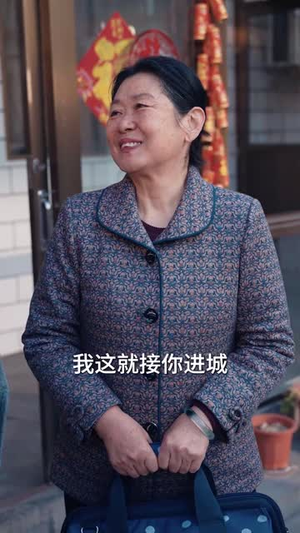回家过年遇到极品亲戚(29集) 回家过年遇到极品亲戚(29集)UC网盘在线看