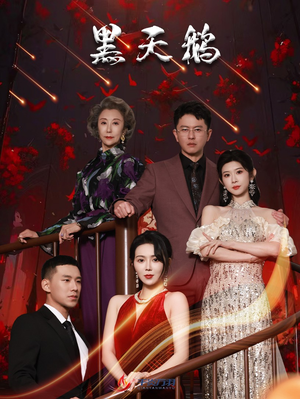 黑天鹅(51集) 黑天鹅(51集)短剧太好看了
