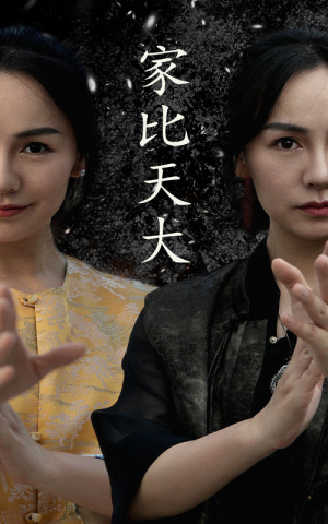 家比天大(63集) 家比天大(63集)大结局完美收官