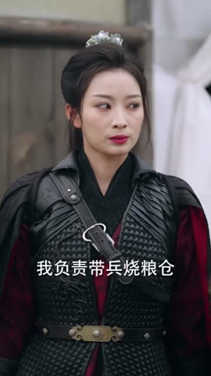 桃花马上请长缨(91集) 桃花马上请长缨(91集)全剧免费观看