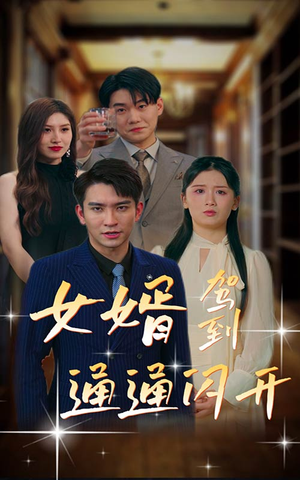 女婿驾到,通通闪开(34集) 女婿驾到,通通闪开(34集)精彩短剧天天看