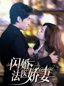 闪婚法医娇妻(92集) 闪婚法医娇妻(92集)直接看到大结局